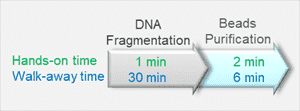 DNA Fragmentation Enzyme