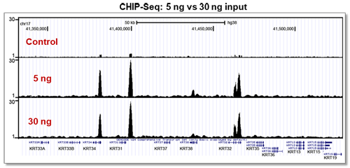 ChIP-Seq Library Prep Kit