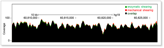 NGS DNA Fragmentation & Library Prep Kit