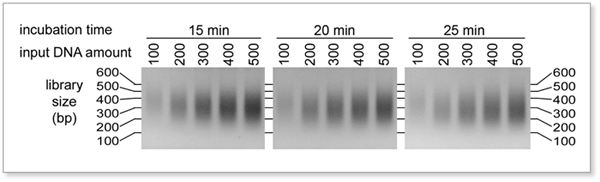 BioDynami NGS DNA片段&建库试剂盒不同孵育时间结果图