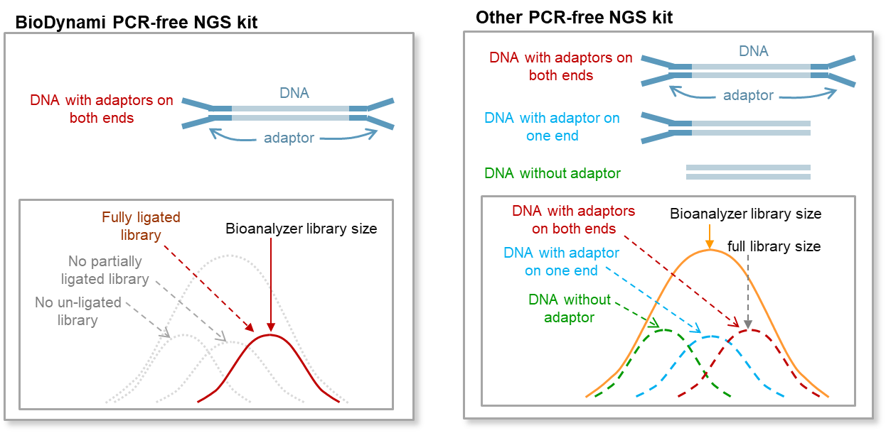 pcr-free-ngs-dna-library-prep-kit-low-bias-high-yield-biodynami