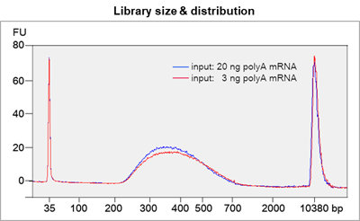 RNA Seq Library Prep Kit - distribution