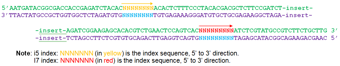 Multiplexing Unique Dual Index Primers