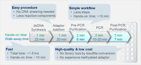 Bisulfite Sequencing Library Prep Kit (illumina)