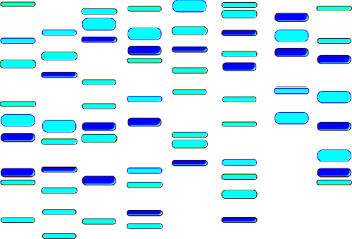 BioDynami-DNA
