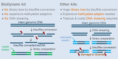 BioDynami bisulfite seq comparison