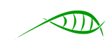 BioDynami