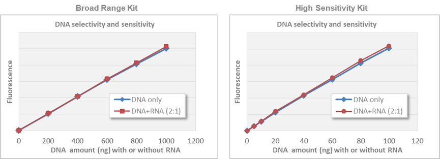 dsDNA Quantification Kit