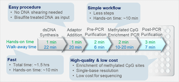 Methylation Specific Bisulfite-Seq Library Prep Kit (illumina)