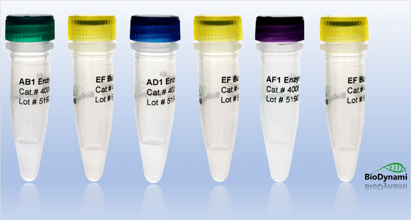 DNA Fragmentation Enzyme