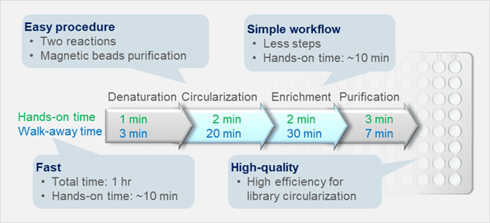NGS Library Circularization workflow (MGI platform)
