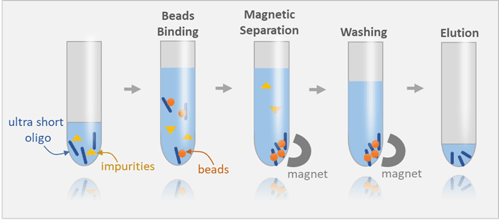 Magnetic Beads (Short Oligo Purification) workflow