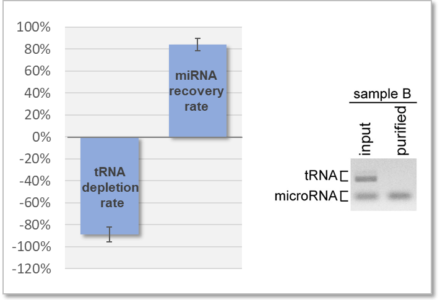 miRNA Purification Kit data BioDynami