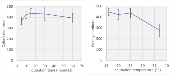 blunt ta ligation efficiency