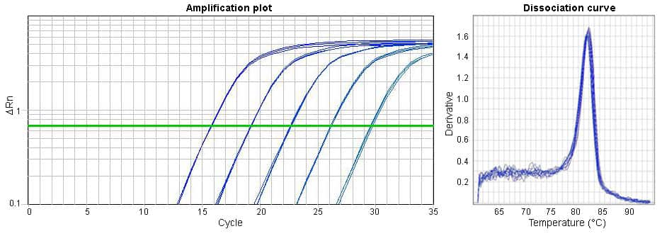 2X qPCR Master Mix