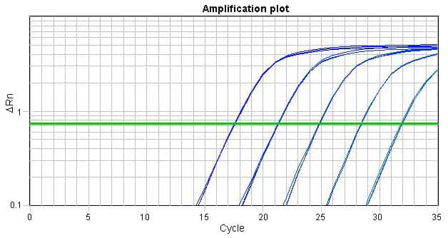 2X qPCR Master Mix (probe-based)