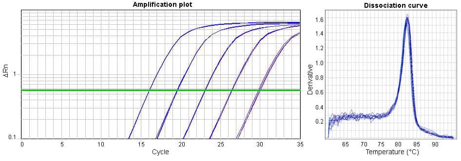 One-Step RT-qPCR Kit (dye-based)