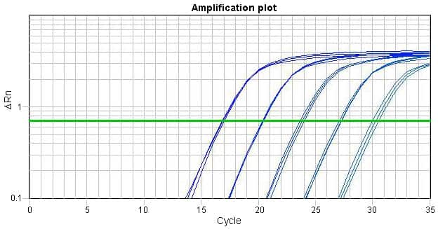 One-Step RT-qPCR Kit (probe-based)