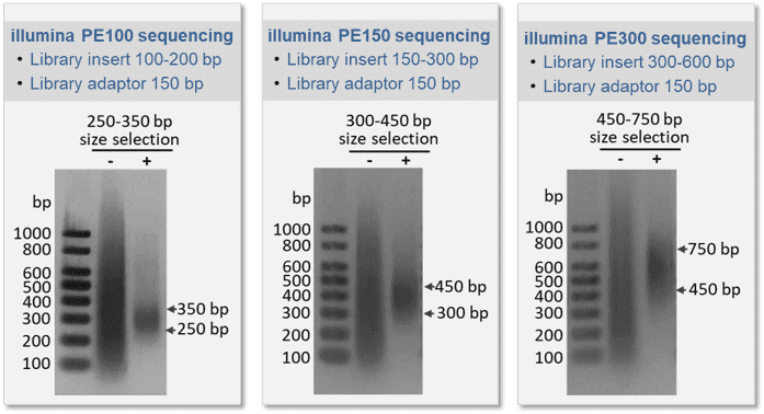 illumina ngs library size selection