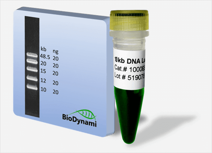 10 kb DNA Ladder