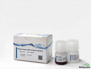Magnetic Beads (microRNA & Oligo Purification)