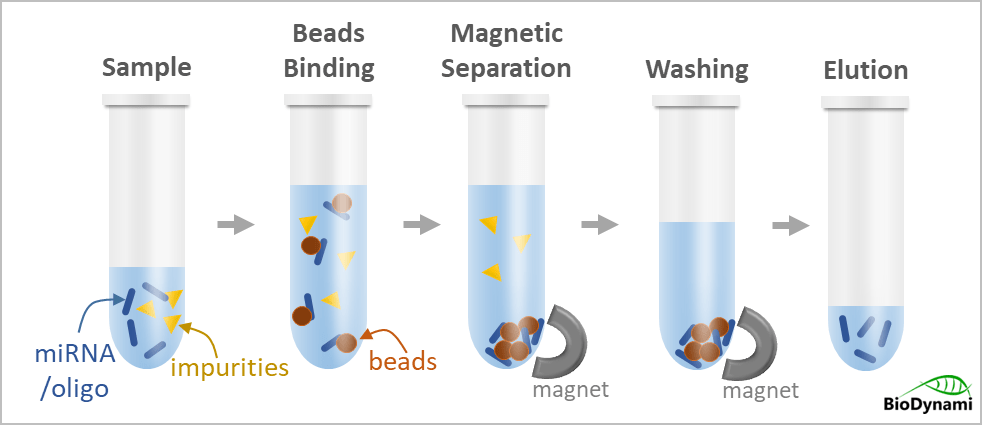 magnetic beads (microrna & oligo purification)