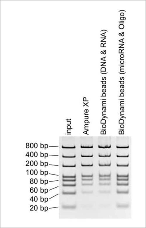 magnetic beads (microrna & oligo purification)