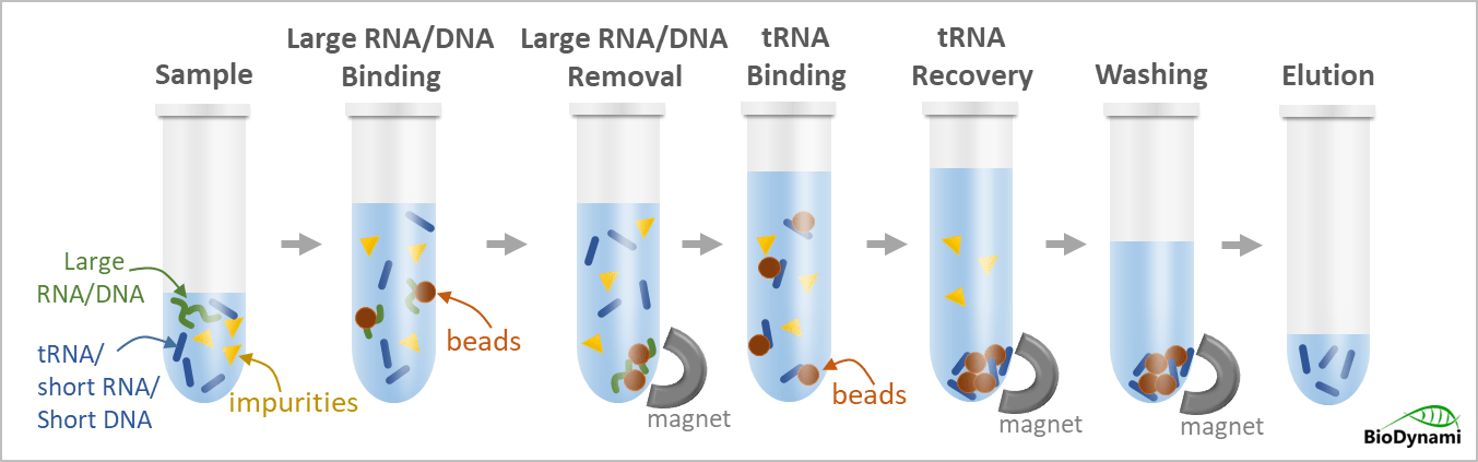 magnetic beads (trna purification)