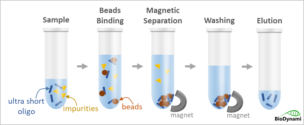 magnetic beads (short oligo purification)