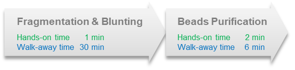 dna fragmentation enzyme