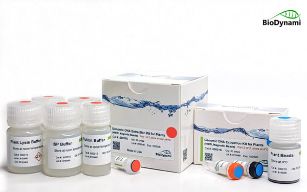 Genomic DNA Extraction Kit for Plants (HMW, Magnetic Beads)