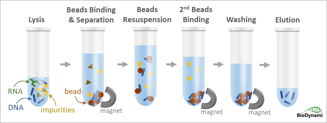 milk dna extraction kit (magnetic beads)