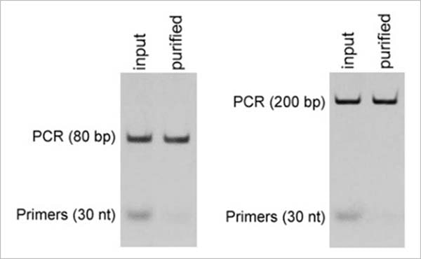 magnetic beads (pcr purification)