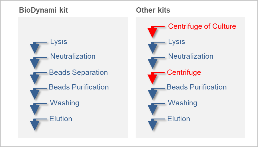 plasmid miniprep kits (magnetic beads)