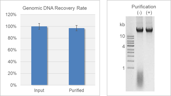 rna contamination removal magnetic beads (gdna purification)