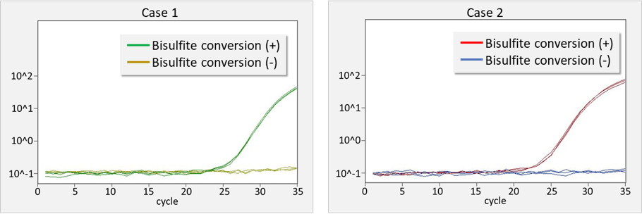 bisulfite conversion kit (magnetic beads)