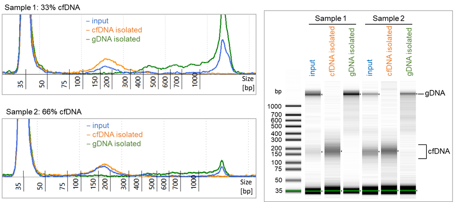 cfdna purification kit (magnetic beads)