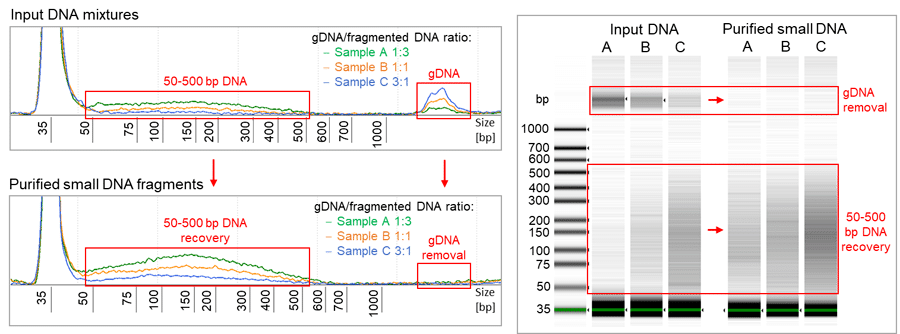 cfdna purification kit (magnetic beads)