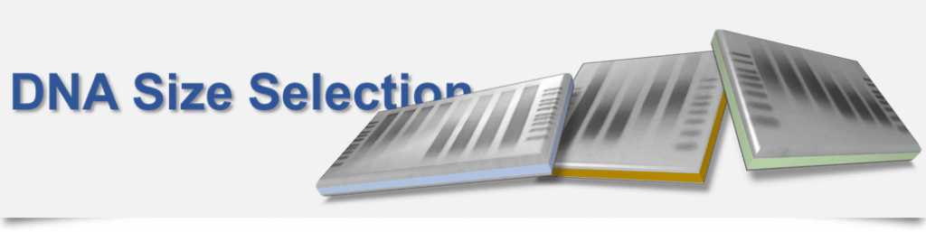 biodynami product category dna size selection