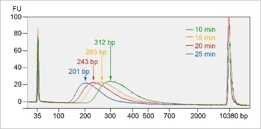 dna fragmentation enzyme