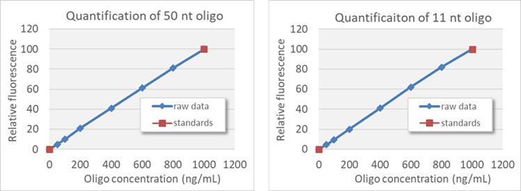 short oligo quantification kit