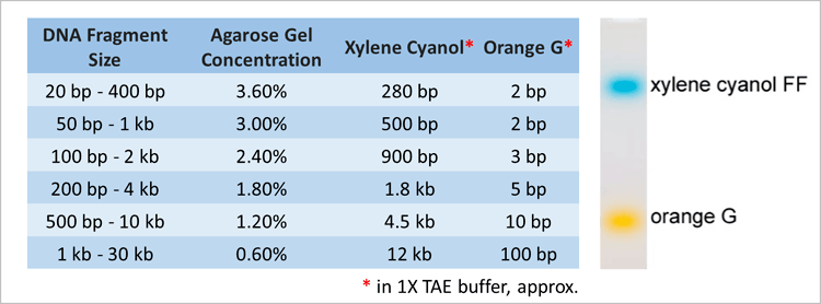 BioDynami-6X DNA Loading Buffer