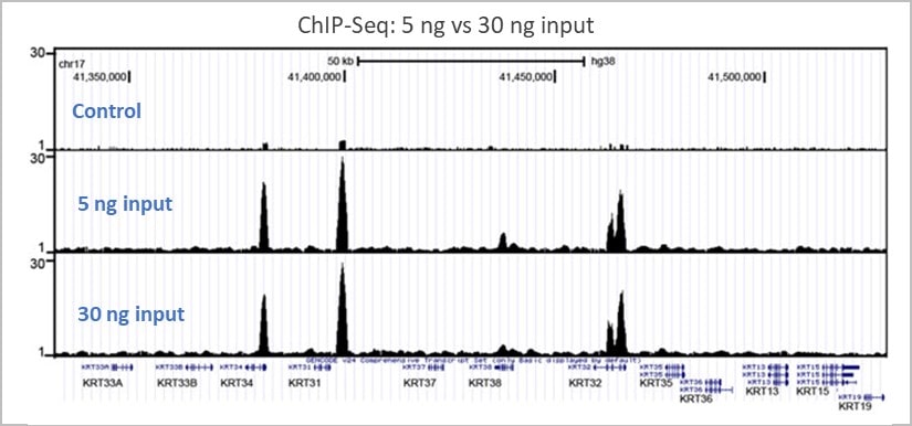 chip seq library prep kit