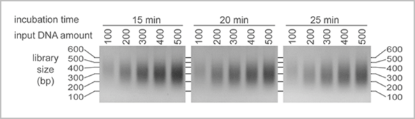 ngs dna fragmentation & library prep kit (ion torrent)