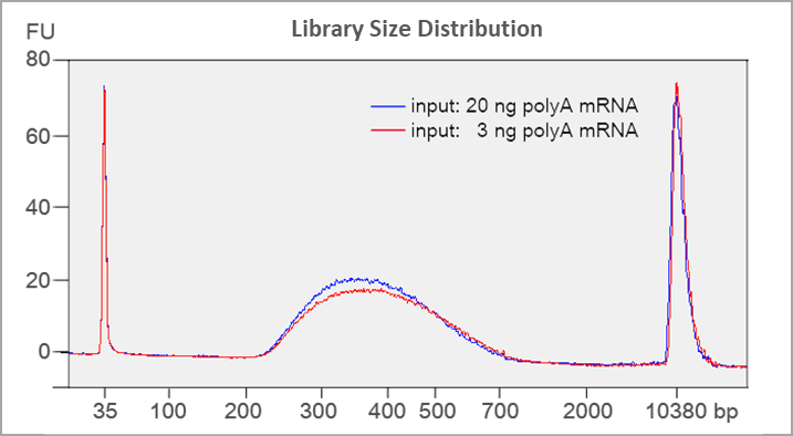 rna seq library prep kit