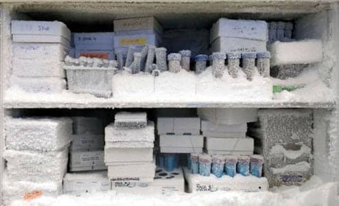 biodynami product freezer