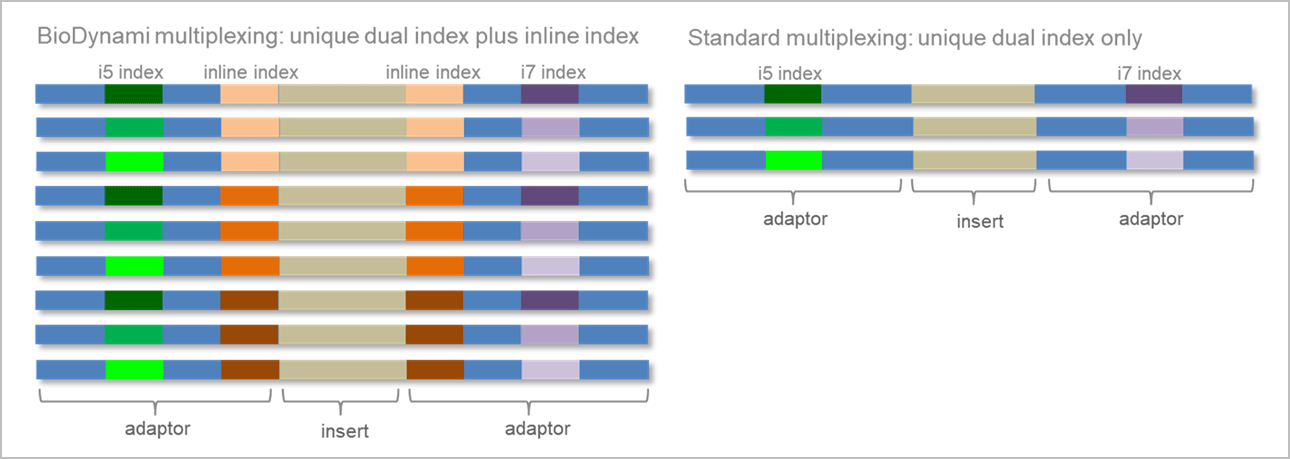 multiplexing udi primers & adaptors