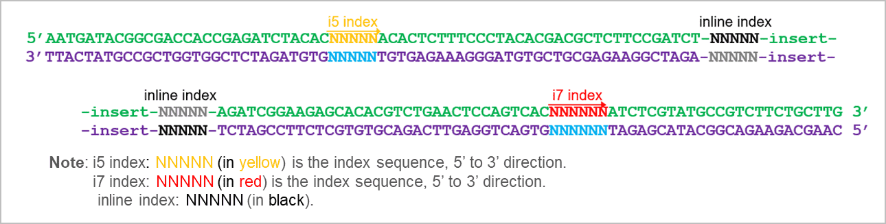 multiplexing udi primers & adaptors