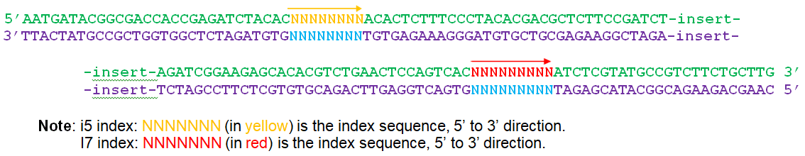 multiplexing unique dual index primers (illumina platform)