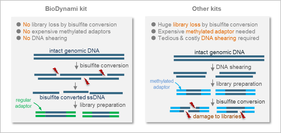 bisulfite sequencing library prep kit